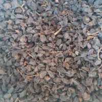 کشمش افتابی