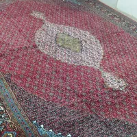 فرش ۱۲متری|فرش|جوانرود, |دیوار