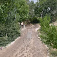 خدمات