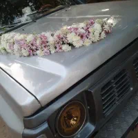 اجاره ماشین عروس|خودرو اجاره‌ای|قزوین, |دیوار