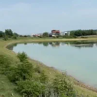 فروش زمین کنار دریاچه و جنگل از ۱۲۰ متر تا ۱۰۰۰متر|فروش زمین و ملک کلنگی|محمودآباد, |دیوار