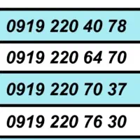 0919.338.8005|سیم‌کارت|شهریار, شهرک وائین|دیوار