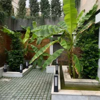 مشارکت در ساخت شهرری|مشارکت در ساخت املاک|ری, اقدسیه|دیوار