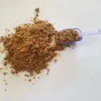 قارچ معجزه گانودرما