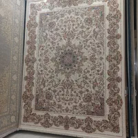 فرش ۱۲۰۰ شانه نو|فرش|اهواز, مجاهد|دیوار