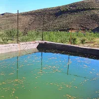 فروش ۱۴۰۰۰ متر باغ با چشمه شخصی ثبتی سند تکبرگ