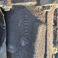 گیربکس ماک دلفینی اور دار پلپ