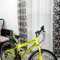 دوچرخه ۲۴ حرفه ای