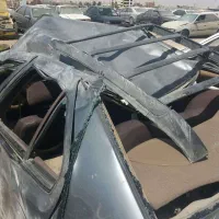 سمند تصادفی