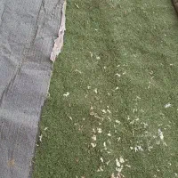 چمن مصنوعی|پادری|خرم‌آباد, |دیوار