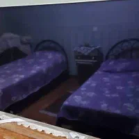 تلویزیون 65 اینچ ال جی|تلویزیون و پروژکتور|تهران, محمودیه|دیوار