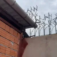 شاخ گوزنی ساخت و تولید|مصالح و تجهیزات ساختمان|قائم‌شهر, |دیوار