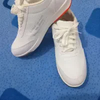 اسپورت سفید نو نو|کیف، کفش، کمربند|نهاوند, |دیوار