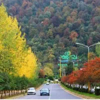 اجاره آپارتمان شهرک نمک آبرود