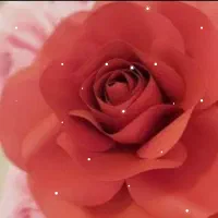 گل رز کاغذی دست ساز|گل و گیاه طبیعی|اصفهان, مصلی|دیوار