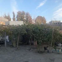 منزل فروشی|فروش خانه و ویلا|چناران, |دیوار