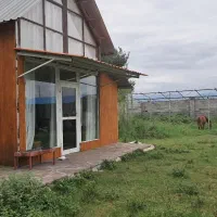 کلبه یک خوابه جنگلی افرا... - رزرو قسطی در جاباما