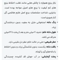 برنج طارم هاشمی اصل|خوردنی و آشامیدنی|تهران, گمرک|دیوار