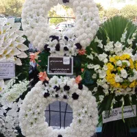 اجاره/ تاج گل/طبیعی/ مصنوعی خیریه|خدمات پذیرایی، مراسم|تهران, نازی‌آباد|دیوار