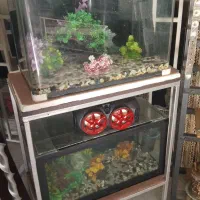 دو عدد اکواریوم کاملا سالم و فعال