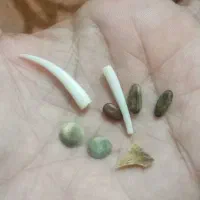 همه نمونه ها یک قیمت نسیتند