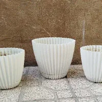 استند و گلدان|گل و گیاه طبیعی|شاهین‌شهر, حافظ شمالی|دیوار