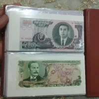 ۴۰تااسکناس درجه یک تکی وسرجمع به فروش میرسد