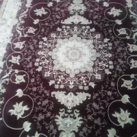 قالی ۶متری دو دانه|فرش|مریوان, |دیوار