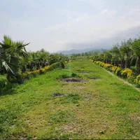 زمین شهرکی در منطقه بی بالان|فروش زمین و ملک کلنگی|واجارگاه, |دیوار