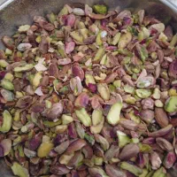 مغزپسته|خوردنی و آشامیدنی|طاغنکوه, |دیوار