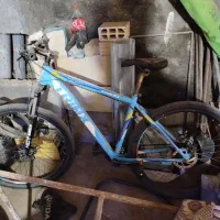 دوچرخه ترینکس 29