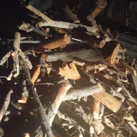 فروش چوب ذغالی تروخشک