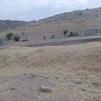 کاه سفید گندم
