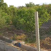 باغ ۵۰۰ متری