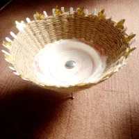 جامیوه ای وجاشیرینی