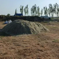 کاه یونجه (بَلیم)