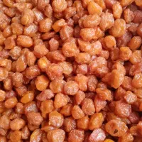 فروش الو بخار