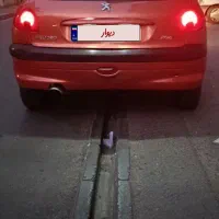 پژو 206|خودرو سواری و وانت|ری, دولت‌آباد|دیوار