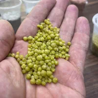 کود|عمده‌فروشی|اهواز, کیان اباد|دیوار