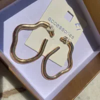 بدلیجات