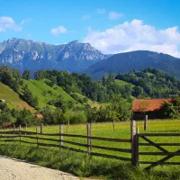 فروش باشگاه پرورش اسب