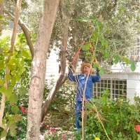 خدمات باغبانی طبیعت