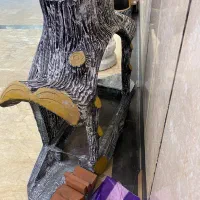 باربیکیو بتنی