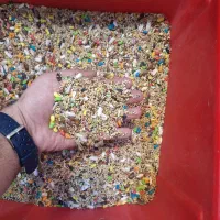 پخش عمده دان پرندگان زینتی