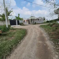 زمین جنگلی با نامه بنیاد مسکن|فروش زمین و ملک کلنگی|رشت, بازار|دیوار