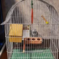 قفس با لوازم مرغ عشق و فنچ
