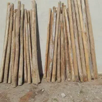 خریدوبرش چوب ضایعات ازجمله صنوبر هلو سیب وموانگور