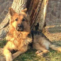 مژدگانی ۲۰ میلیونی