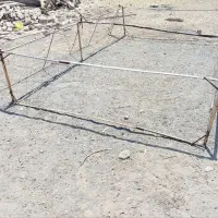 دام کبوتر