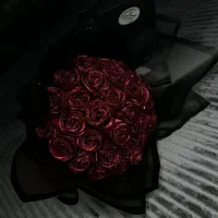 هدیه عید  20٪تخفیف